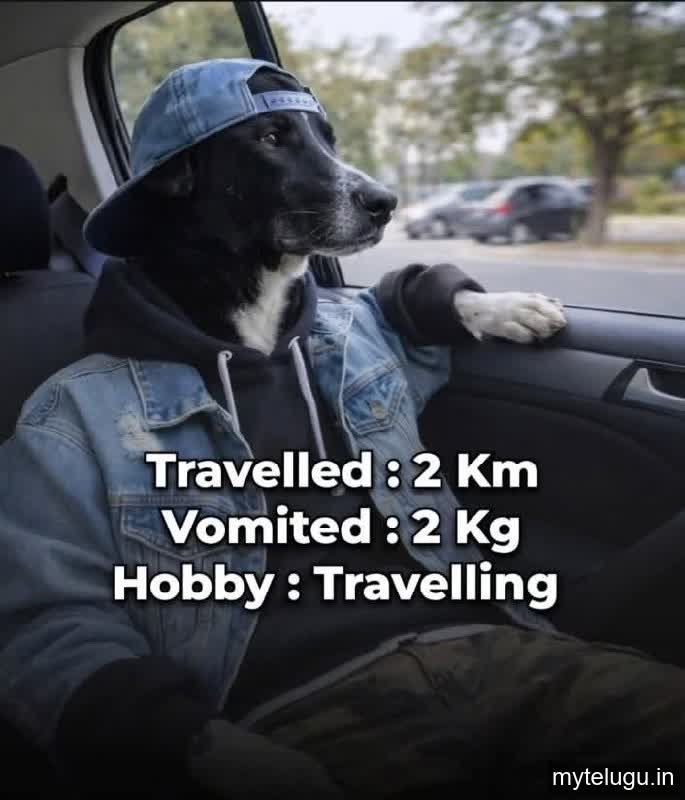 telugu memes143 Trending